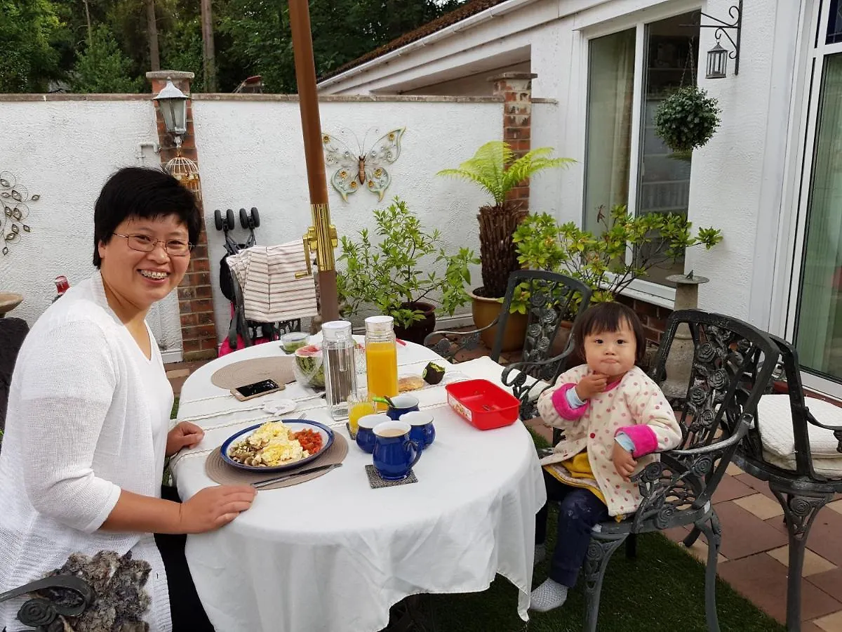 Best Area Close To Leeds Centre 0*, Leeds (West Yorkshire) Birleşik Krallık